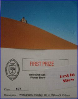Nick Tulloch’s winning photograph